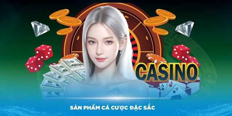 Tin tức bóng đá 24h： Cập nhật thông tin mới nhất